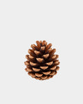 Natural Pine Cones 18pcs